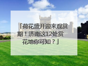 荷花盛开迎来观赏期！济南这12处赏花地你可知？