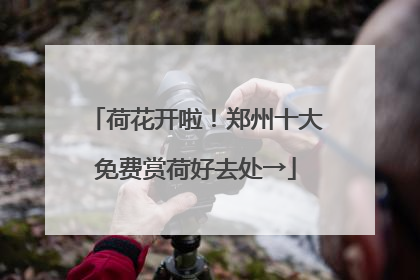 荷花开啦！郑州十大免费赏荷好去处→