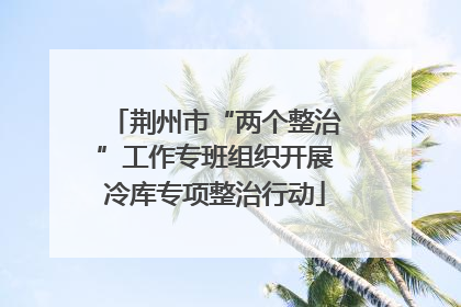 荆州市“两个整治”工作专班组织开展冷库专项整治行动
