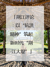 荆江评论：以“抗洪精神”筑起新时代“荆江大堤”