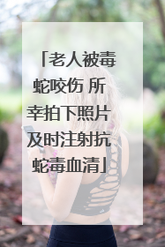 老人被毒蛇咬伤 所幸拍下照片及时注射抗蛇毒血清