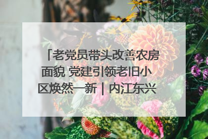 老党员带头改善农房面貌 党建引领老旧小区焕然一新｜内江东兴“红”在哪？④