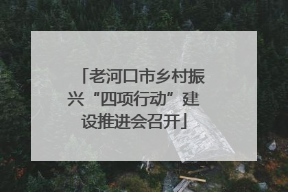老河口市乡村振兴“四项行动”建设推进会召开
