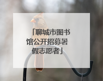 聊城市图书馆公开招募暑假志愿者