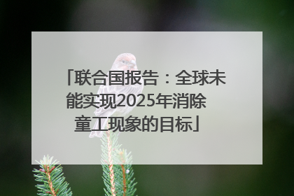 联合国报告：全球未能实现2025年消除童工现象的目标