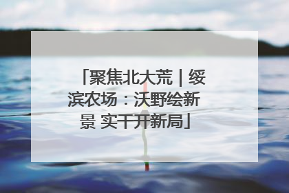 聚焦北大荒｜绥滨农场：沃野绘新景 实干开新局