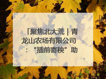 聚焦北大荒｜青龙山农场有限公司：“插前寄秧”助力农业节本增效