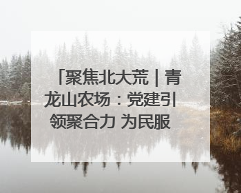 聚焦北大荒｜青龙山农场：党建引领聚合力 为民服务践初心