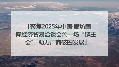 聚焦2025年中国·廊坊国际经济贸易洽谈会③一场“链主会” 助力厂商破圈发展