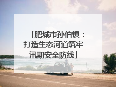 肥城市孙伯镇：打造生态河道筑牢汛期安全防线