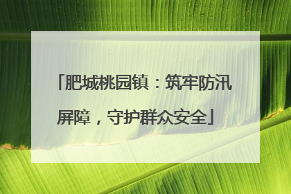 肥城桃园镇：筑牢防汛屏障，守护群众安全