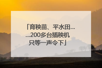 育秧苗、平水田……200多台插秧机只等一声令下