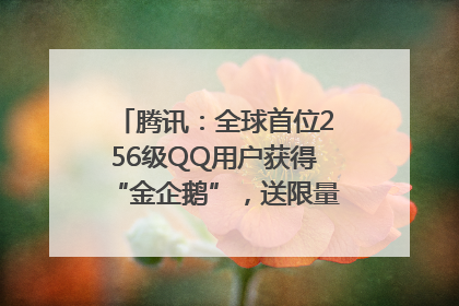 腾讯：全球首位256级QQ用户获得“金企鹅”，送限量版神秘惊喜等礼物