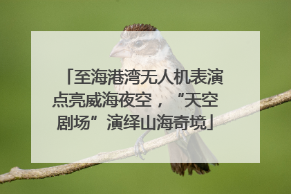 至海港湾无人机表演点亮威海夜空，“天空剧场”演绎山海奇境