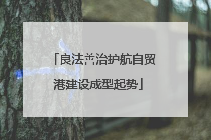 良法善治护航自贸港建设成型起势
