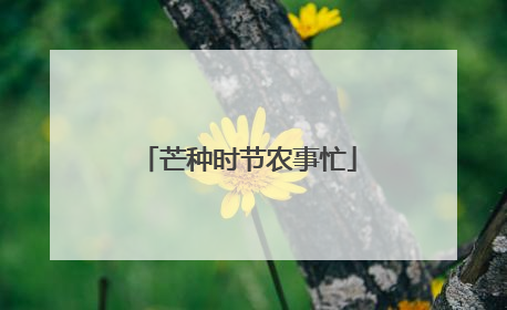 芒种时节农事忙