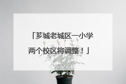 芗城老城区一小学两个校区将调整！