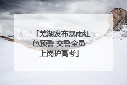 芜湖发布暴雨红色预警 交警全员上岗护高考