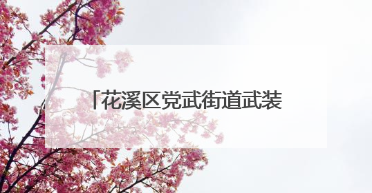花溪区党武街道武装部：联防联控保净空 凝心聚力护航空