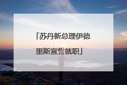 苏丹新总理伊德里斯宣誓就职