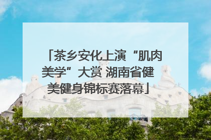 茶乡安化上演“肌肉美学”大赏 湖南省健美健身锦标赛落幕