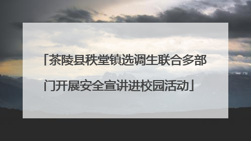 茶陵县秩堂镇选调生联合多部门开展安全宣讲进校园活动