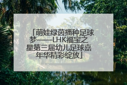 萌娃绿茵播种足球梦——LHK福宝之星第三届幼儿足球嘉年华精彩绽放