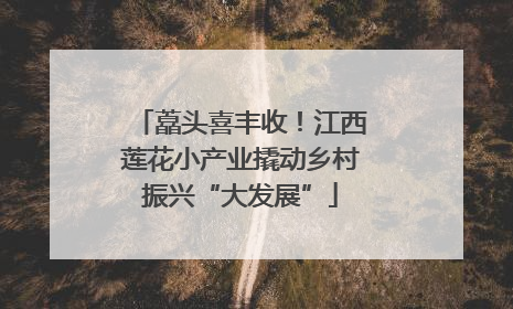 藠头喜丰收！江西莲花小产业撬动乡村振兴“大发展”
