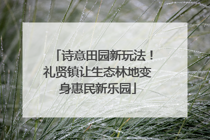 诗意田园新玩法！礼贤镇让生态林地变身惠民新乐园