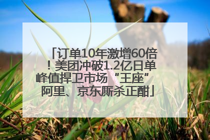 订单10年激增60倍！美团冲破1.2亿日单峰值捍卫市场“王座” 阿里、京东厮杀正酣