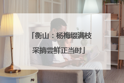 衡山：杨梅缀满枝 采摘尝鲜正当时