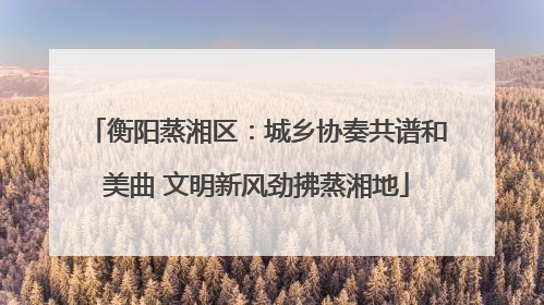 衡阳蒸湘区：城乡协奏共谱和美曲 文明新风劲拂蒸湘地