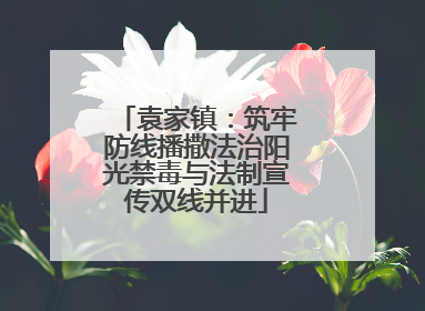 袁家镇：筑牢防线播撒法治阳光禁毒与法制宣传双线并进