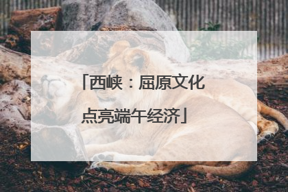 西峡：屈原文化点亮端午经济