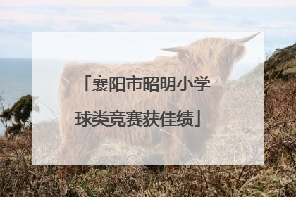 襄阳市昭明小学球类竞赛获佳绩
