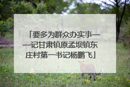 要多为群众办实事——记甘肃镇原孟坝镇东庄村第一书记杨鹏飞