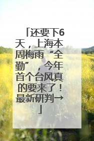 还要下6天，上海本周梅雨“全勤”，今年首个台风真的要来了！最新研判→