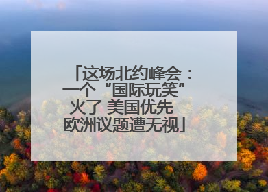 这场北约峰会：一个“国际玩笑”火了 美国优先 欧洲议题遭无视