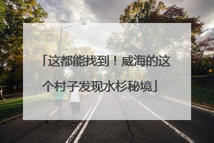 这都能找到！威海的这个村子发现水杉秘境