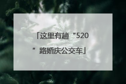 这里有趟“520”路婚庆公交车