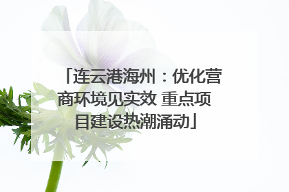连云港海州：优化营商环境见实效 重点项目建设热潮涌动