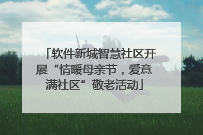 软件新城智慧社区开展“情暖母亲节，爱意满社区”敬老活动