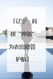 辽宁：科技“神器”为农田夏管护航