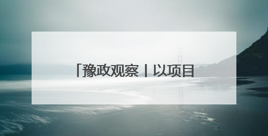 豫政观察丨以项目之进看发展之势