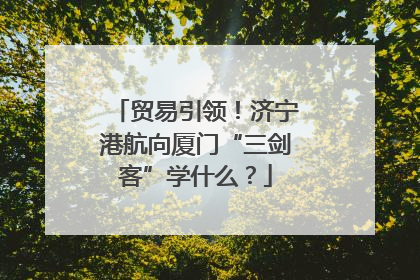 贸易引领！济宁港航向厦门“三剑客”学什么？
