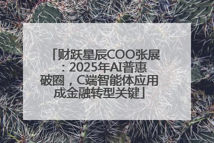 财跃星辰COO张展：2025年AI普惠破圈，C端智能体应用成金融转型关键