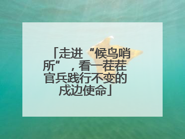 走进“候鸟哨所”，看一茬茬官兵践行不变的戍边使命