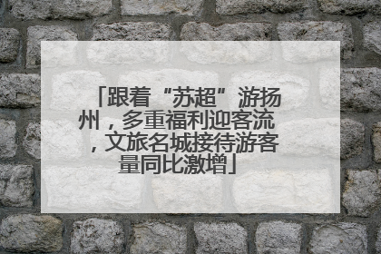 跟着“苏超”游扬州，多重福利迎客流，文旅名城接待游客量同比激增