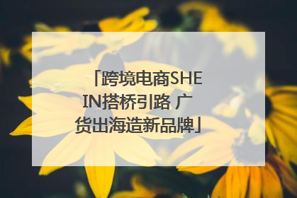 跨境电商SHEIN搭桥引路 广货出海造新品牌