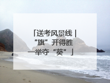 送考风景线｜“旗”开得胜 一举夺“葵”